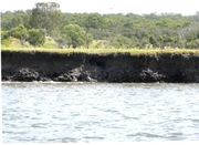 eroded-river-banks-LoganRiver