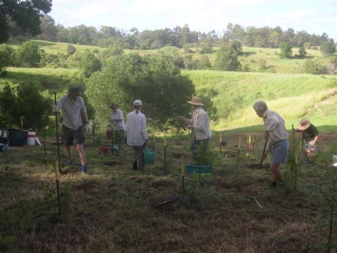 planting020907.jpg