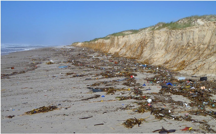 PlasticLitterMoretonIsland HWW