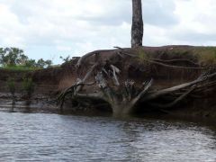 LOGAN-river-erosion-sm