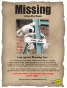 missingkoala.jpg