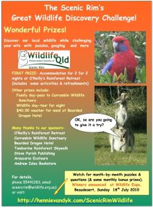 wildlifediscovery_flier